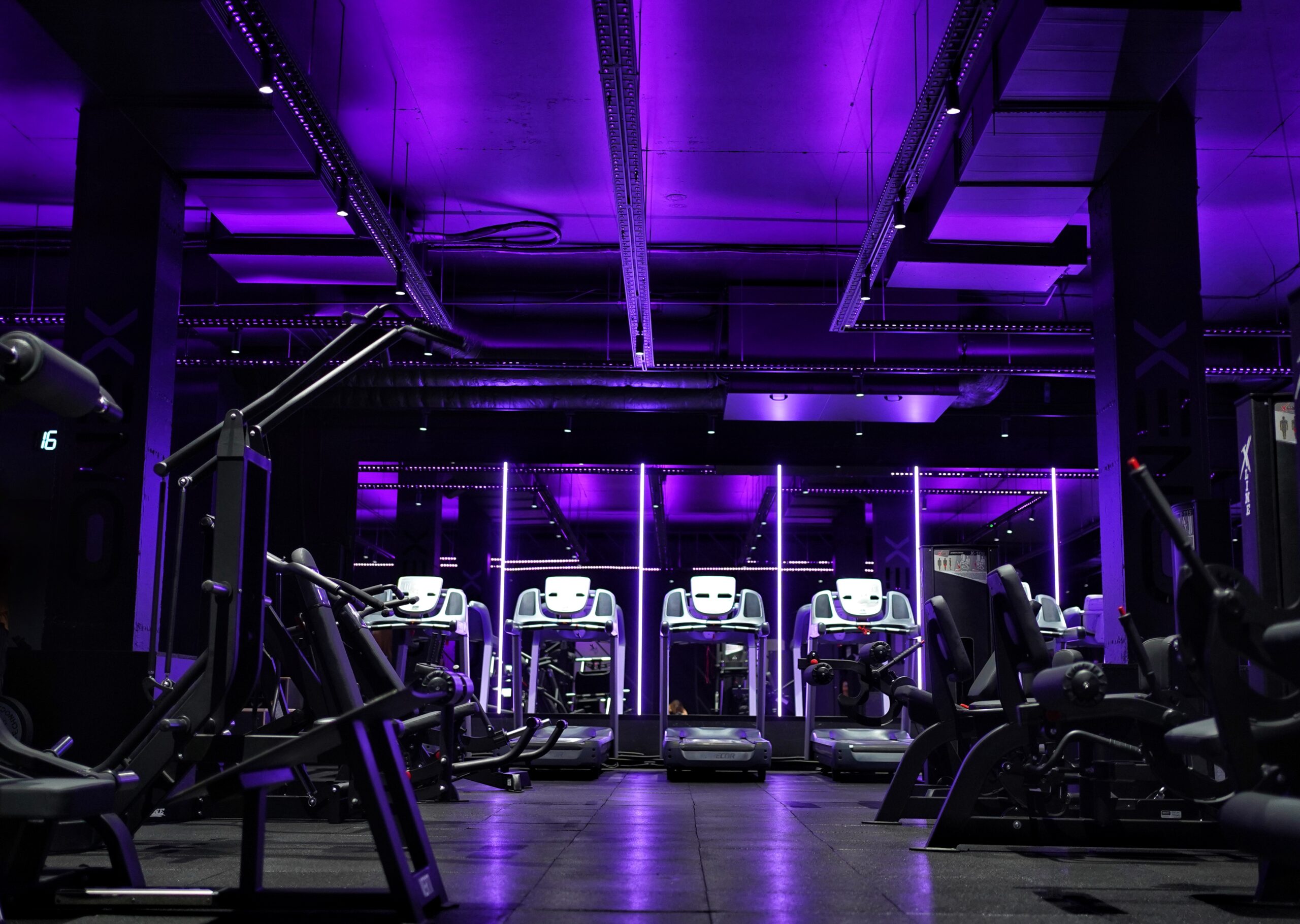 Athlete training with professional gym equipment during a structured fitness session