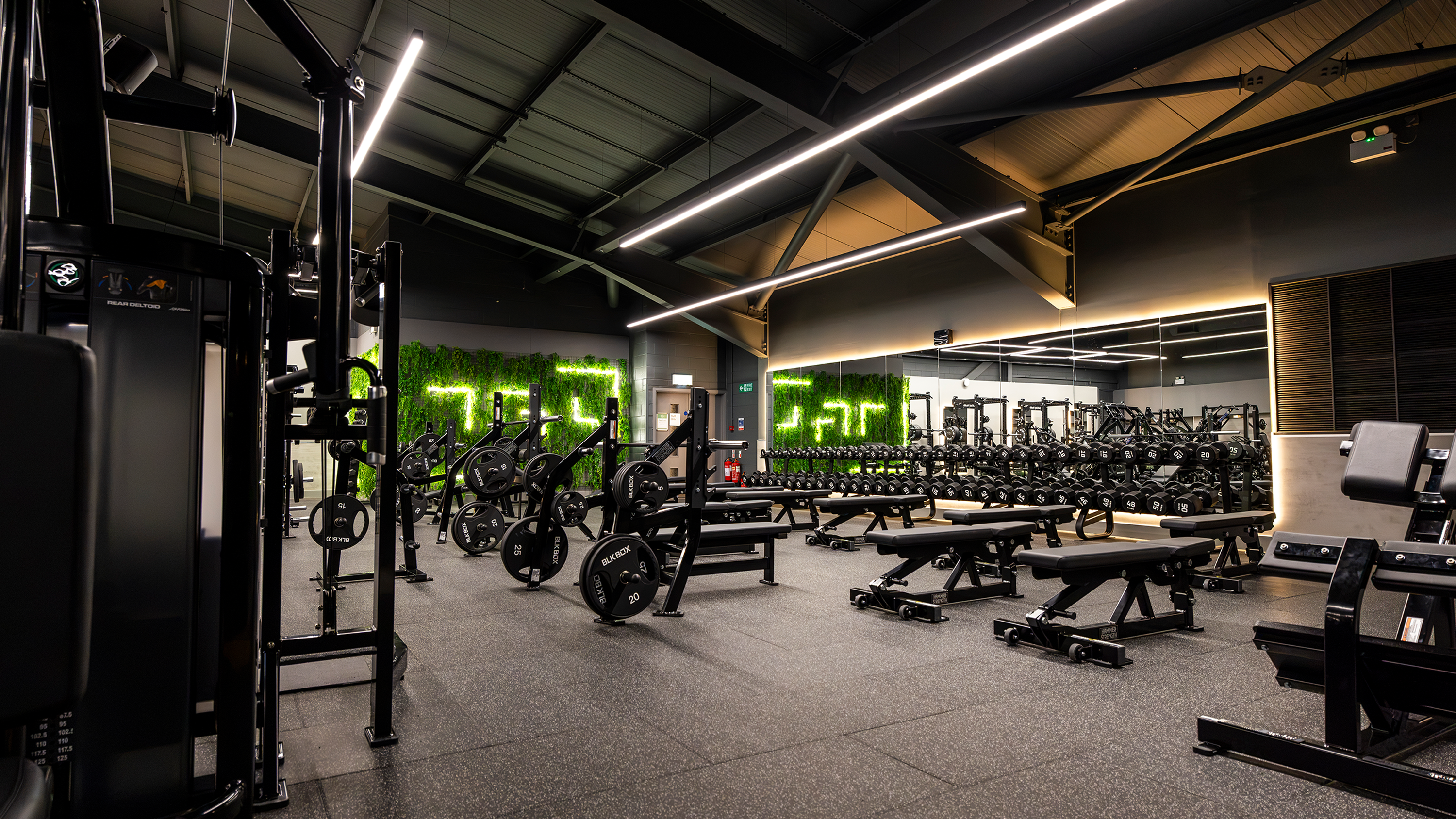 Athlete training with free weights in a modern professional gym