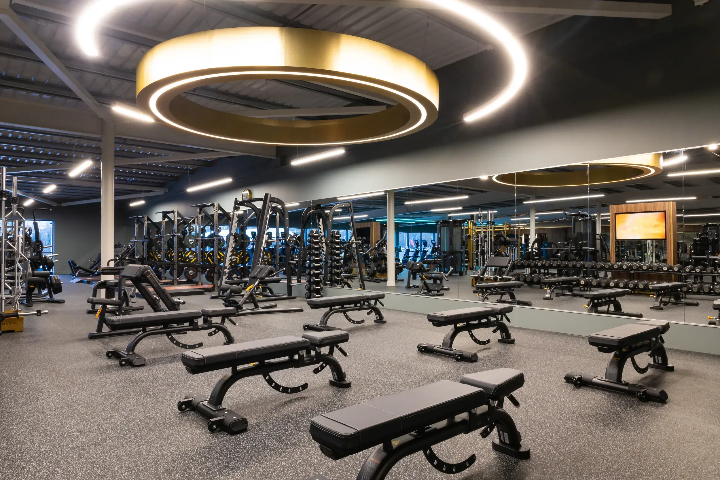 Athlete preparing for a structured workout with professional gym equipment